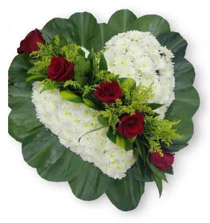 Corazón solidario de crisantemos blancos y rosas rojas 🤍🥀🕊️