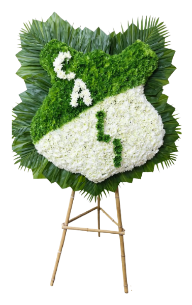 Escudo del Deportivo Cali en trípode con rosas blancas y pompones verdes ⚽💚🤍