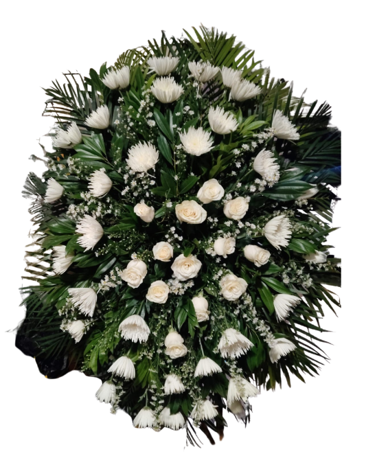 Arreglo Fúnebre en Crisantemos y Rosas Blancas 🕊️🤍