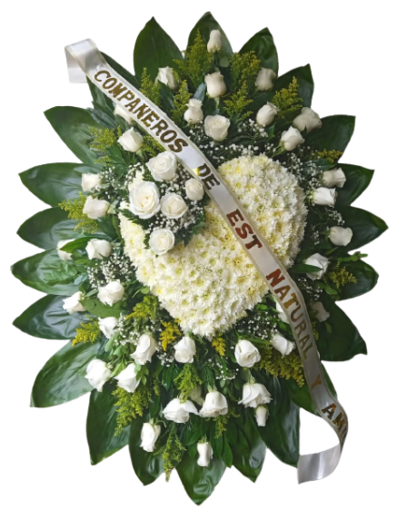 Hermoso corazón tapizado con rosas blancas 🤍🕊️✨