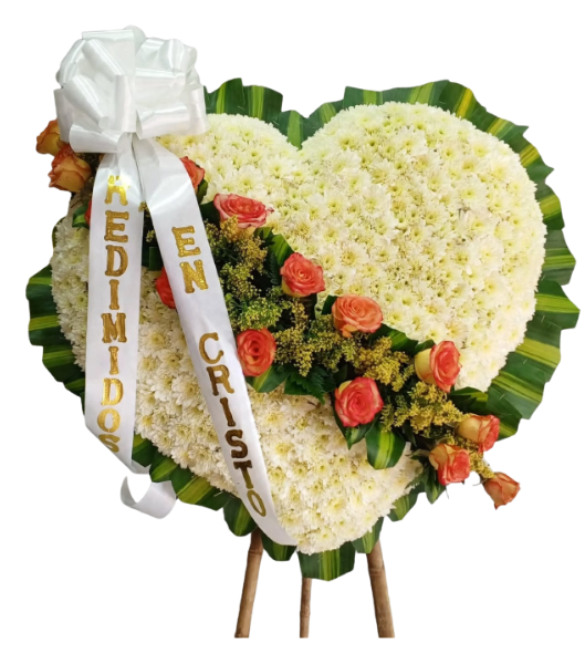 Corazón fúnebre de crisantemos blancos con rosas coral 🤍🌹🕊️