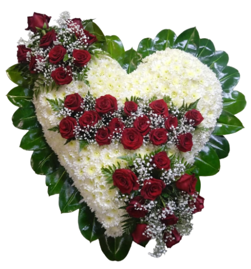 Hermoso corazón fúnebre con crisantemos blancos y rosas rojas 🤍🥀🕊️✨