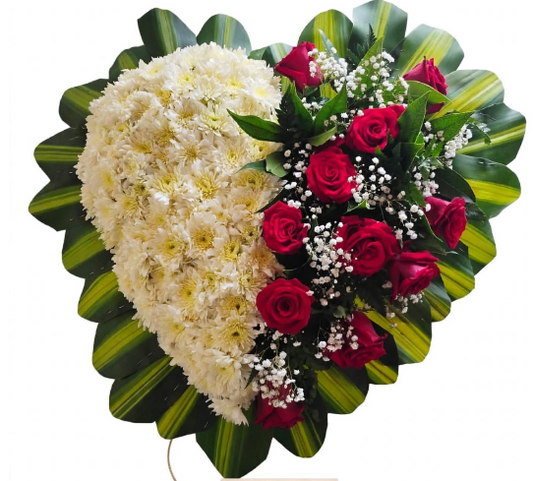 Hermoso corazón mediano con rosas rojas y pompones blancos 🌹🤍✨