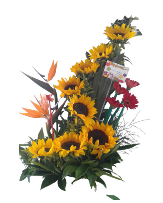 Arreglo Tropical en Escala: Girasol, Ave del Paraíso y Gerberas 🌴🌻🌺