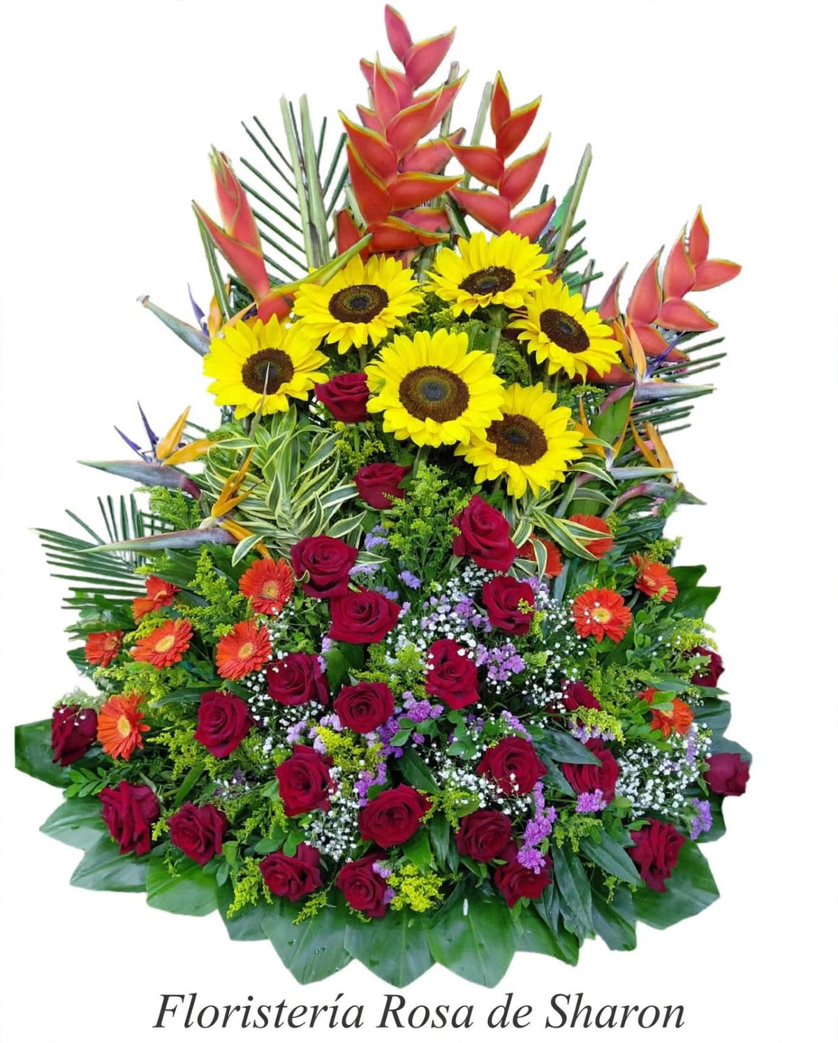 Jardín Tropical Exótico con Heliconias, Girasoles y Rosas 🌴🌻🌹